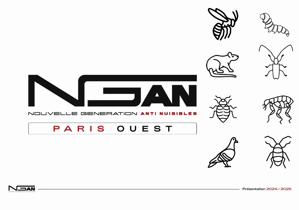 NGAN — visuel 1